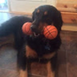 Meet your Posher, Brenda